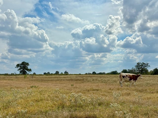 3 Big Sky Ranch RD