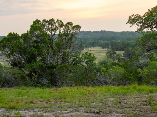 3 Shilo CIR