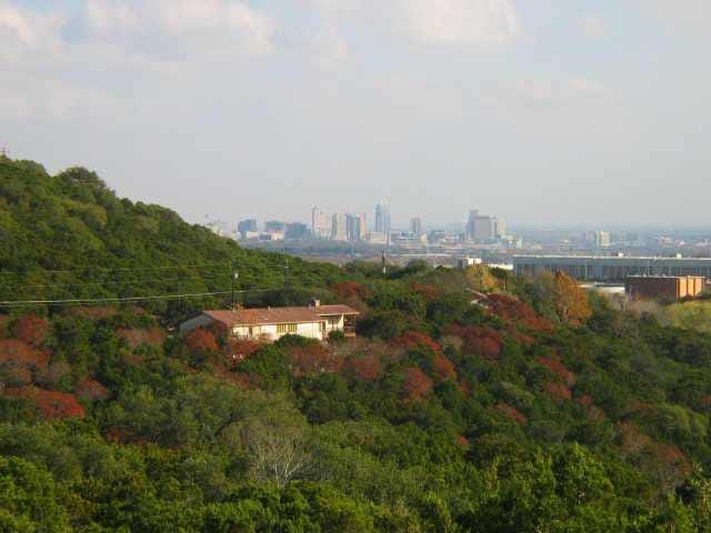 300 Cedar Oak