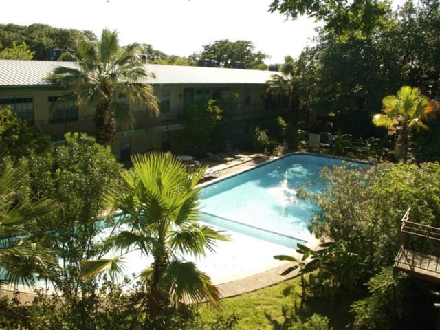 300 Crockett St Unit #313
