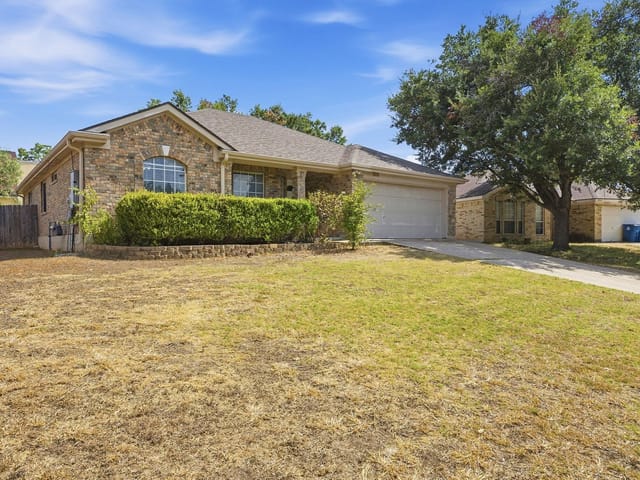 3005 Sugar Berry CV