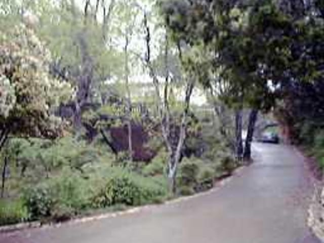 304 MCCONNELL DR