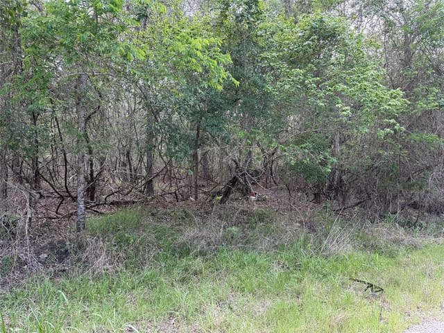 305 Nene LN