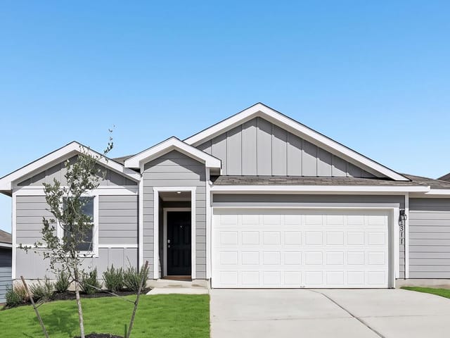 311 Palestine TRL