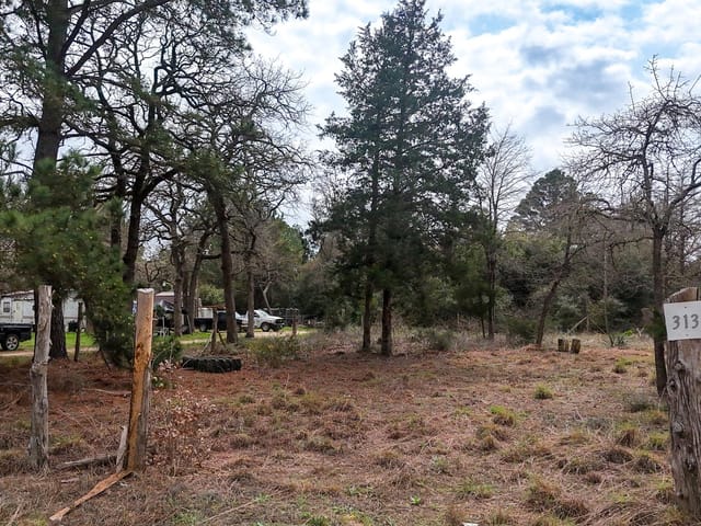 313 Dogwood Dr