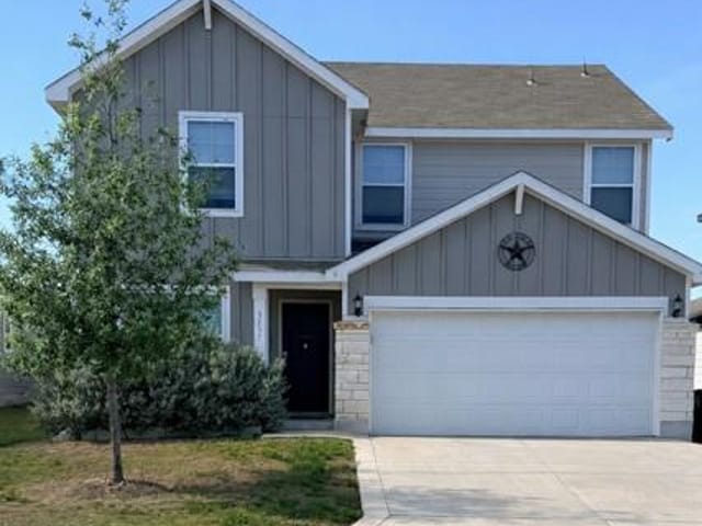3137 Mountain Mint