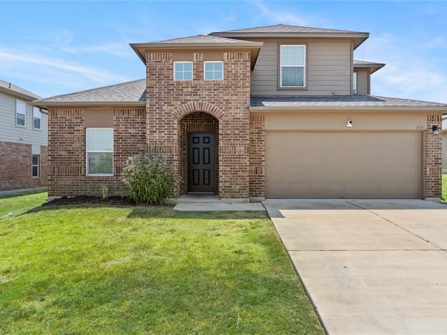 314 Dusky Thrush DR