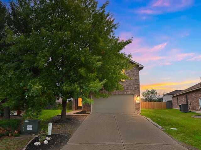 316 Housefinch LOOP