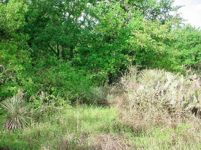 317-318 Cottonwood