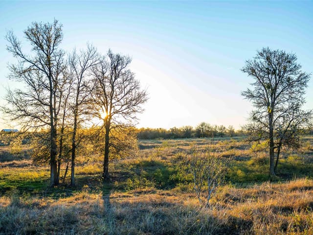3191 County Road 463
