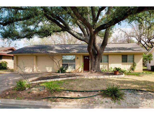 3202 Yellowpine Ter