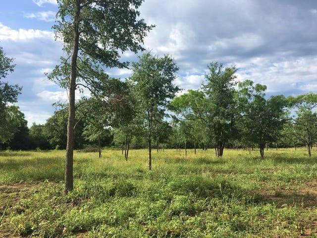321 Burdette Wells RD