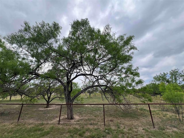 326 County Road 144B