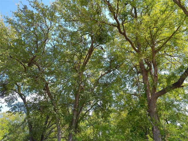 Lot 33 Serenity DR