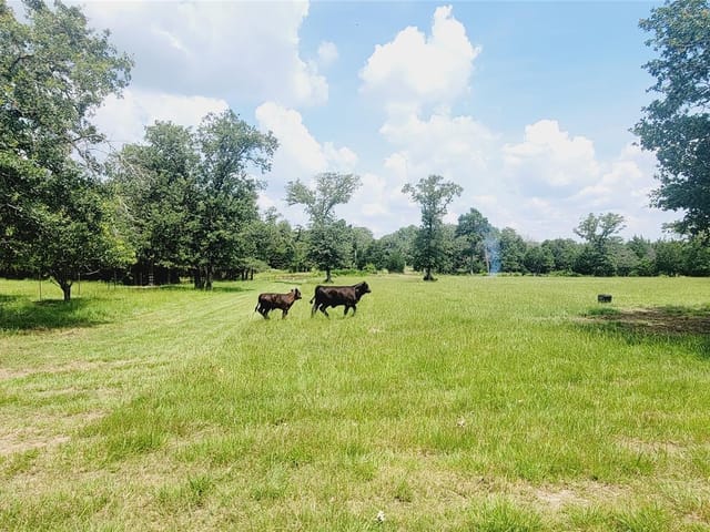 3321 County Road 457