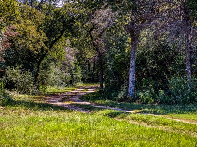 3336 County Road 326