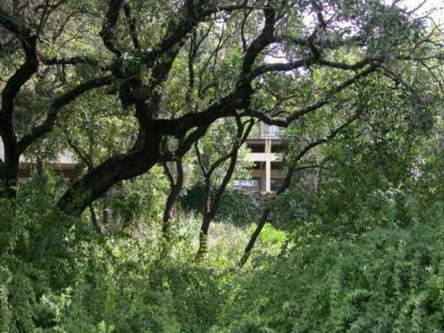 3410 MOUNT BONNELL Dr