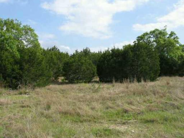342 Ash Juniper