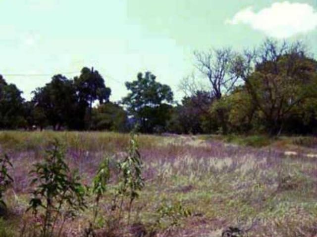 353 YOUNGS PRAIRIE RD