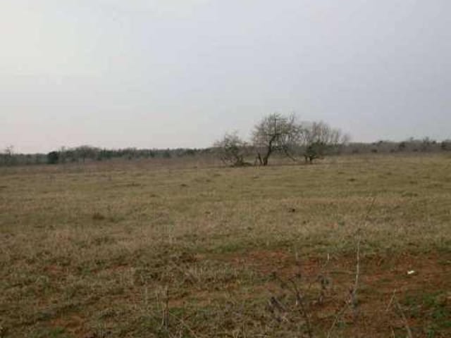 356 Peach Creek RD