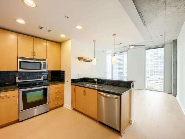 360 Nueces ST Unit #1208