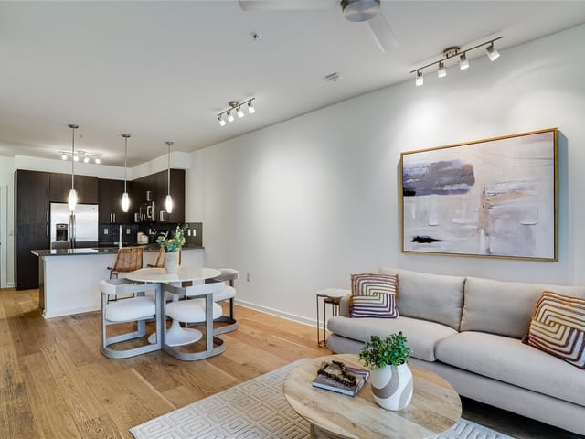 3600 S Lamar Blvd Unit #115