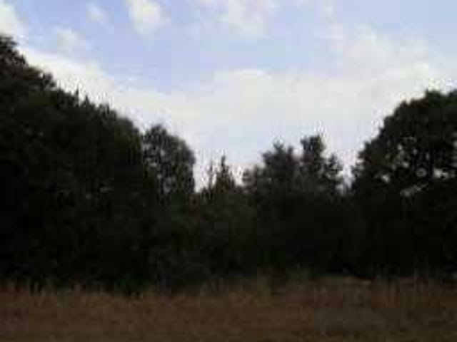 3609 Cassava DR