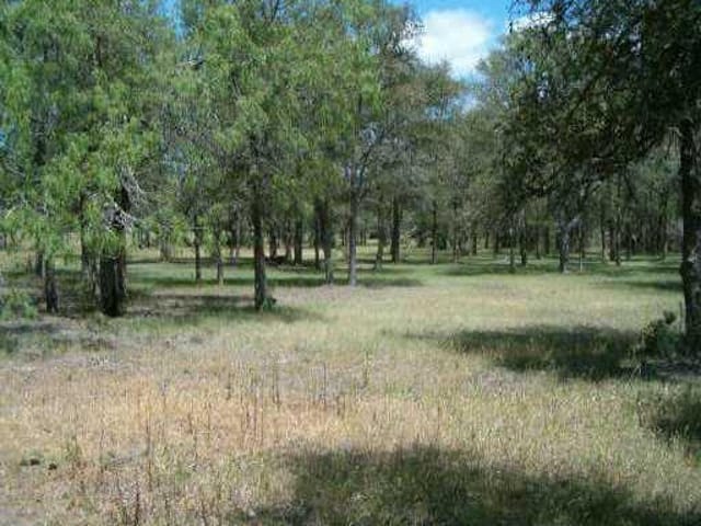 365 Elm Forest LOOP
