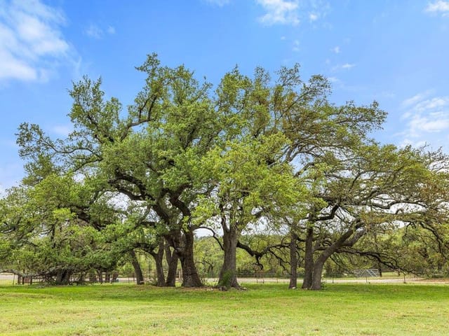 3657 Ranch Road 3232