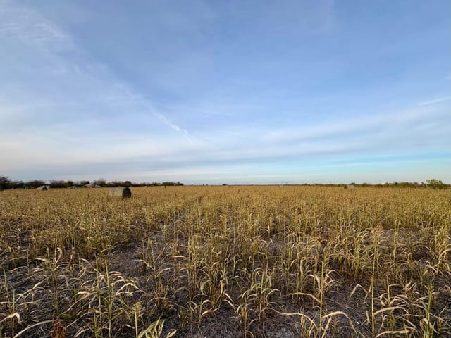 366 County Road 123