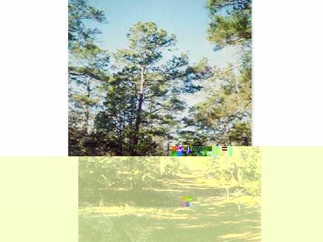 368 Sandy RD