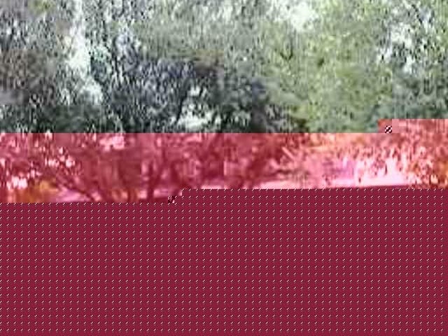 3711 GREEN TRAILS NORTH*BOM*