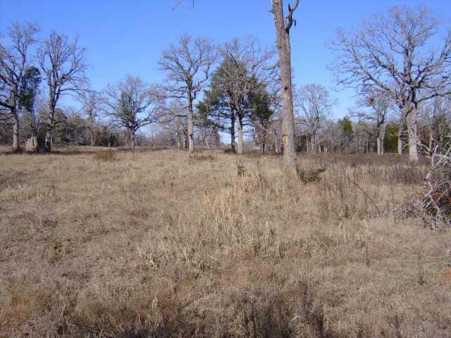 3731 Us Highway 79