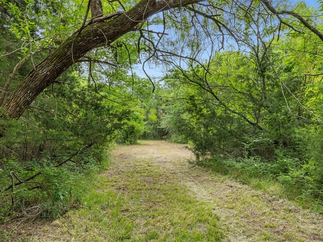 3797 County Road 328