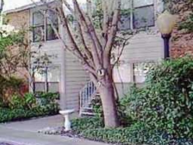 3839 DRY CREEK DR Unit #106