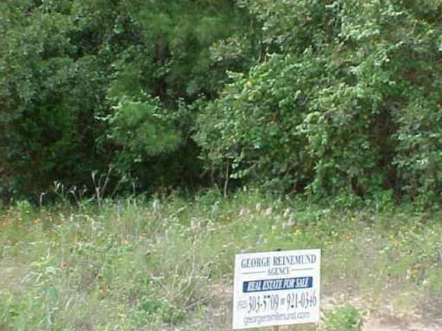 387 Red Rock Ranch RD