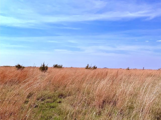 39 county road 330