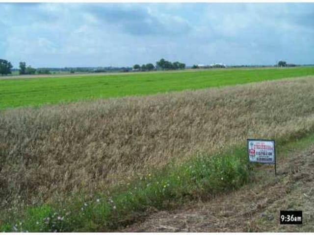 398 CO RD 319