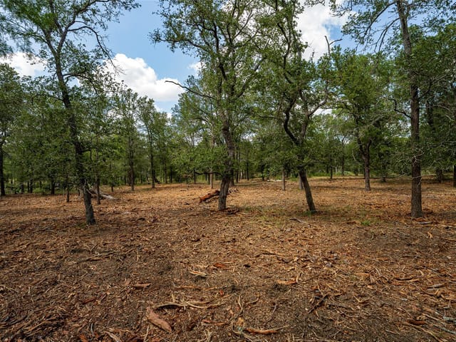 3980 (Tract 5) Fm 3158