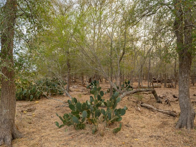 3980 (Tract 5) Fm 3158