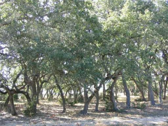 3A Dos Lagos