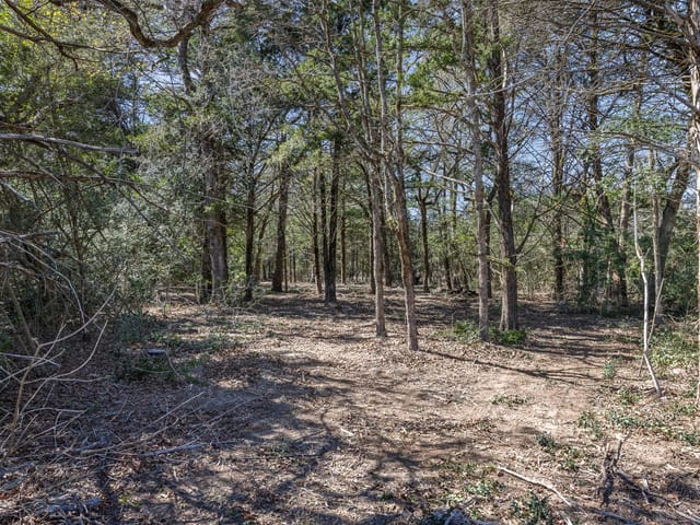 4.81 AC Pauline LN
