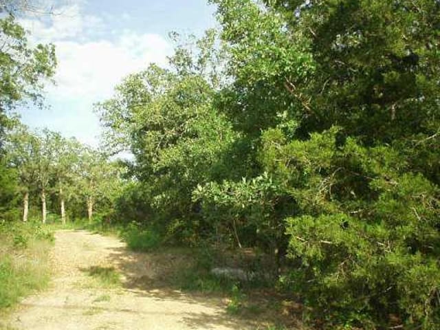 4 Lonestar RD