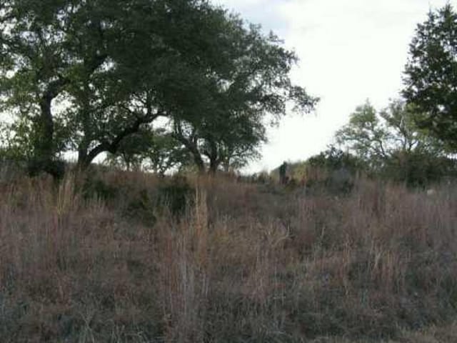 400 Desert Rose South/fir