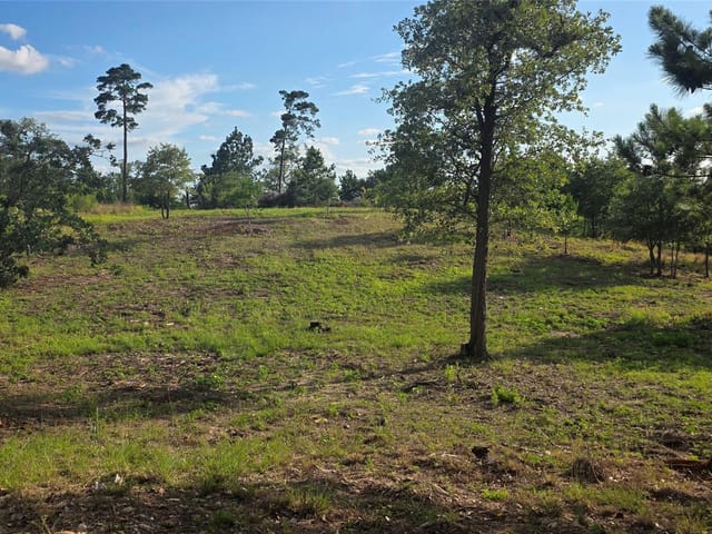 400 McAllister RD