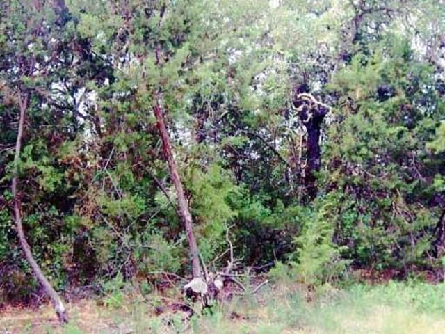 401 SHIN OAK