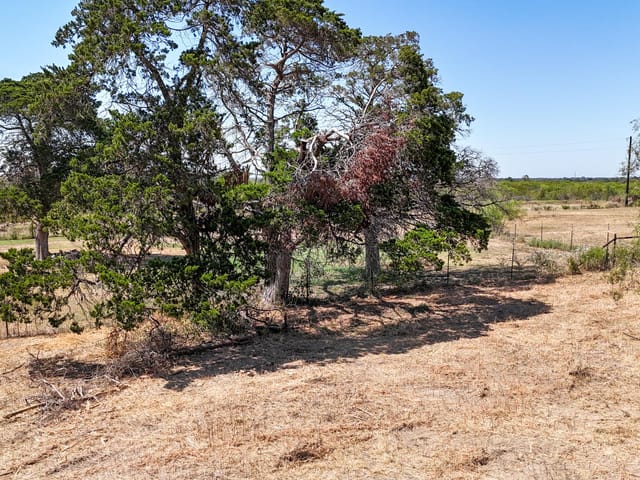 4049 Old Colony Line RD