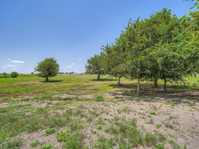 415 County Road 154