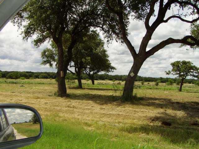 419 Spears Ranch RD