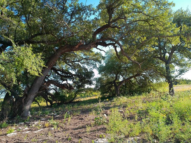 Lot 42 Serenity DR